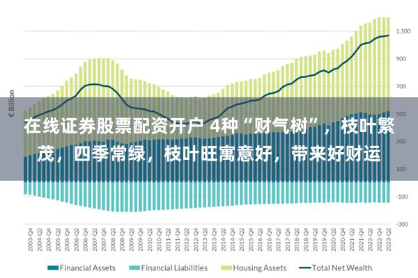 在线证券股票配资开户 4种“财气树”，枝叶繁茂，四季常绿，枝叶旺寓意好，带来好财运