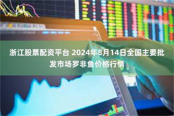 浙江股票配资平台 2024年8月14日全国主要批发市场罗非鱼价格行情