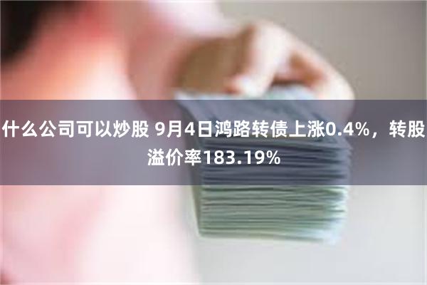 什么公司可以炒股 9月4日鸿路转债上涨0.4%，转股溢价率183.19%