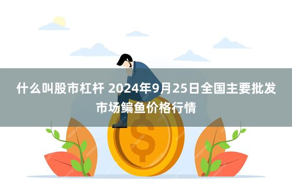 什么叫股市杠杆 2024年9月25日全国主要批发市场鳊鱼价格行情