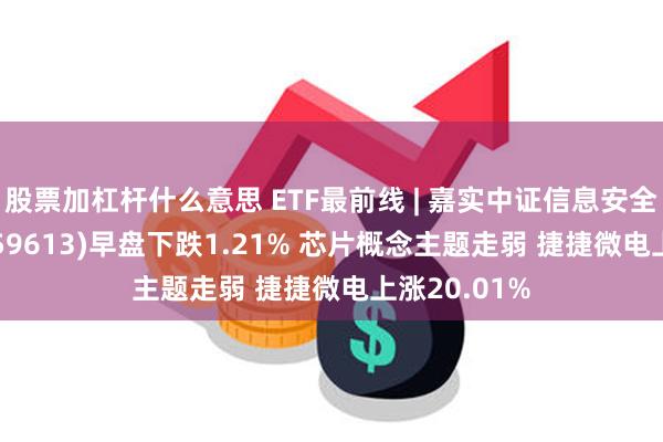 股票加杠杆什么意思 ETF最前线 | 嘉实中证信息安全主题ETF(159613)早盘下跌1.21% 芯片概念主题走弱 捷捷微电上涨20.01%