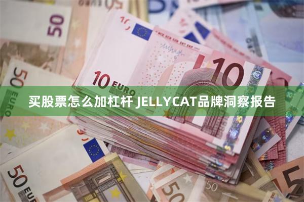 买股票怎么加杠杆 JELLYCAT品牌洞察报告