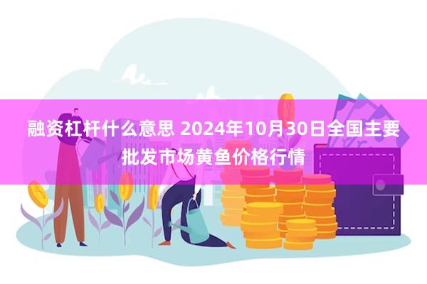 融资杠杆什么意思 2024年10月30日全国主要批发市场黄鱼价格行情