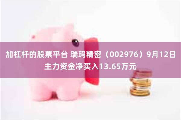 加杠杆的股票平台 瑞玛精密（002976）9月12日主力资金净买入13.65万元