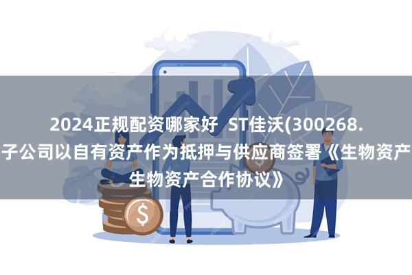 2024正规配资哪家好  ST佳沃(300268.SZ)：智利子公司以自有资产作为抵押与供应商签署《生物资产合作协议》