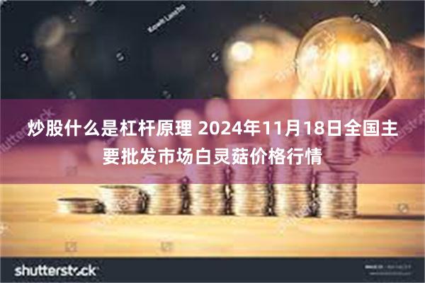 炒股什么是杠杆原理 2024年11月18日全国主要批发市场白灵菇价格行情