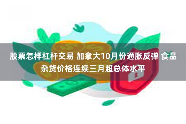 股票怎样杠杆交易 加拿大10月份通胀反弹 食品杂货价格连续三月超总体水平