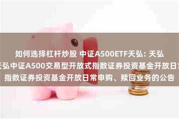 如何选择杠杆炒股 中证A500ETF天弘: 天弘基金管理有限公司关于天弘中证A500交易型开放式指数证券投资基金开放日常申购、赎回业务的公告