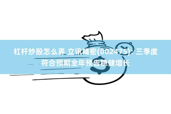 杠杆炒股怎么弄 立讯精密(002475): 三季度符合预期全年预告稳健增长