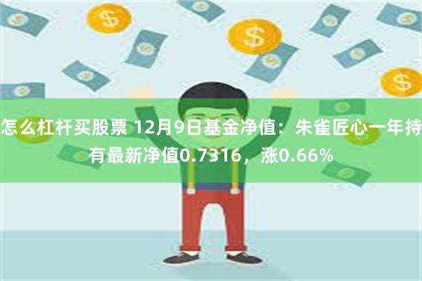 怎么杠杆买股票 12月9日基金净值：朱雀匠心一年持有最新净值0.7316，涨0.66%